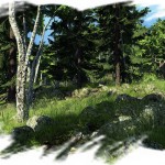 The Hunter: le jeu de chasse le plus réaliste à ce jour