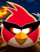 Angry Birds Space:   Décollage imminent!